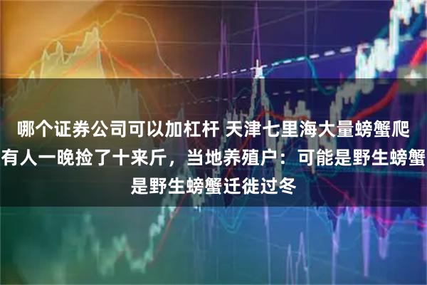 哪个证券公司可以加杠杆 天津七里海大量螃蟹爬上马路，有人一晚捡了十来斤，当地养殖户：可能是野生螃蟹迁徙过冬