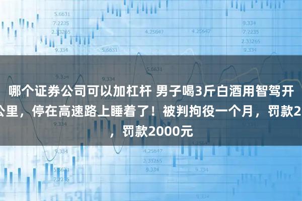 哪个证券公司可以加杠杆 男子喝3斤白酒用智驾开车20公里，停在高速路上睡着了！被判拘役一个月，罚款2000元
