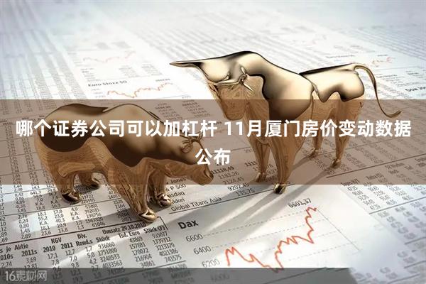 哪个证券公司可以加杠杆 11月厦门房价变动数据公布