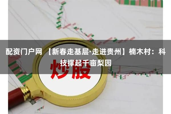 配资门户网 【新春走基层·走进贵州】楠木村：科技撑起千亩梨园